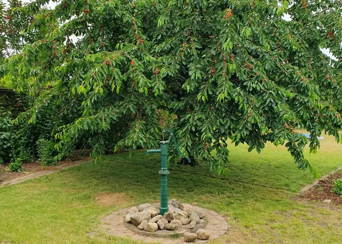 Neumuhler Hof: Modern 